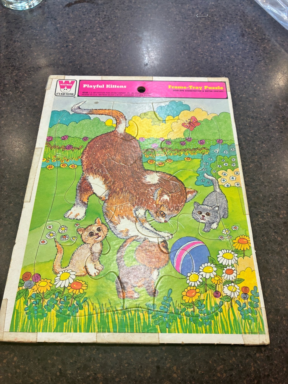 Vintage 1976 Whitman Playful Kittens Frame Tray Puzzle 9 Piece 4514D